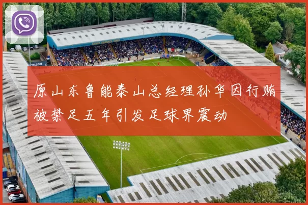 原山东鲁能泰山总经理孙华因行贿被禁足五年引发足球界震动