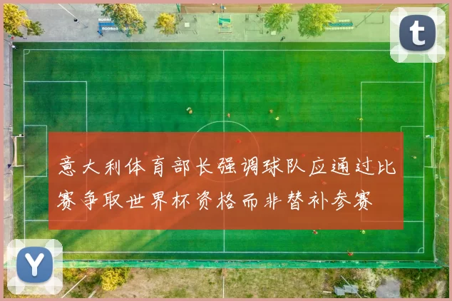 意大利体育部长强调球队应通过比赛争取世界杯资格而非替补参赛